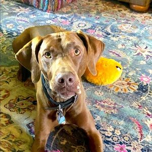 Meet your Posher, Kellie